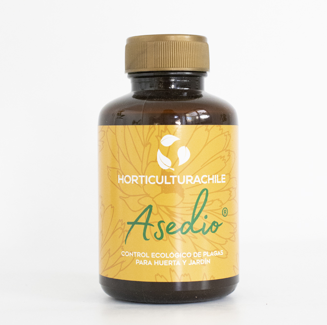 Asedio Tienda Taiquen